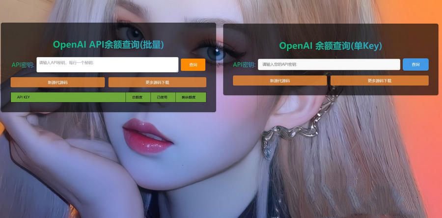 OpenAI余额查询工具HTML源码