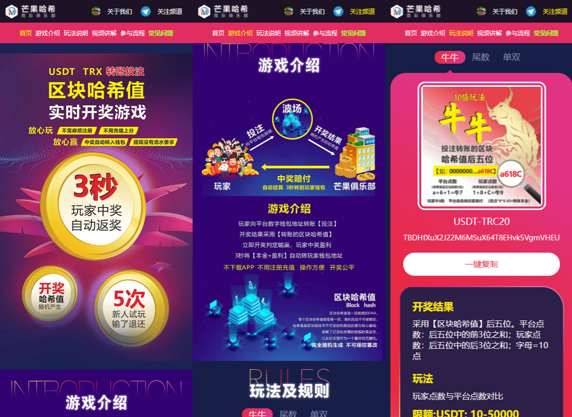 哈希竞猜智能合约返奖系统PHP源码 支持多玩法
