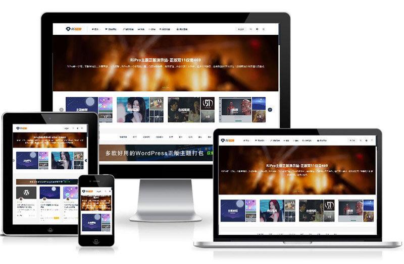 WordPress RiPro9.0 二开优化版主题美化包与稀缺插件资源
