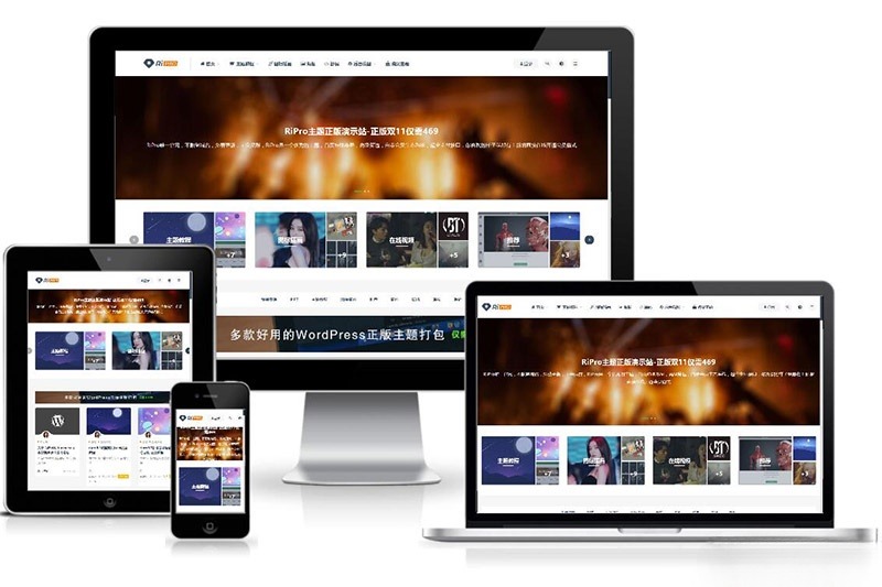 RiPro V89 开心版虚拟资源主题 PHP+HTML 模板 图片1
